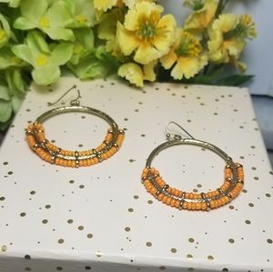 Seedbead Dangle Drop Earrings